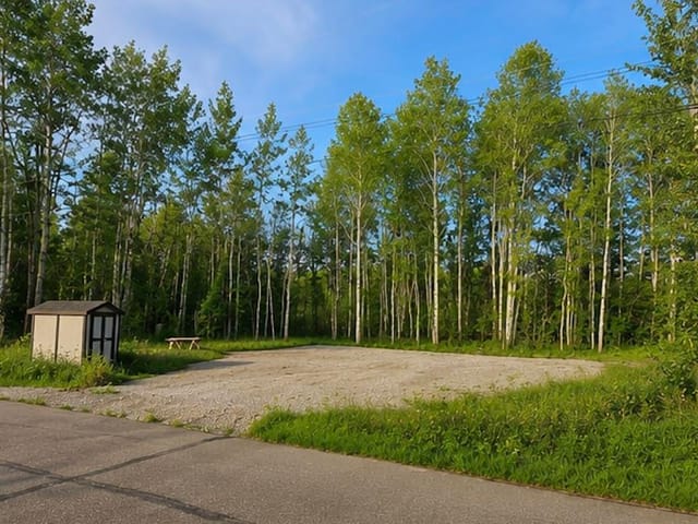 Lot for sale in Hudsons Hope, Fort St. John, 9908 Adams Street, 263177424 | Realtylink.org