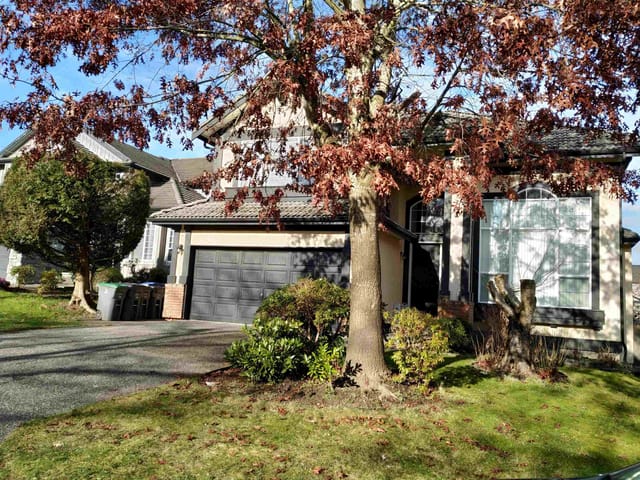 House for rent in Surrey, Surrey, Basement 16909 83a Avenue, 263177451 | Realtylink.org