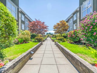 Apartment for sale in Delta, Ladner, 212 4738 53 Street, 263177713 | Realtylink.org