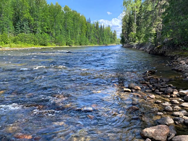 Lot for sale in Horsefly, Williams Lake, Lot 2 Dl11991 Horsefly-Quesnel Lake Road, 263177782 | Realtylink.org