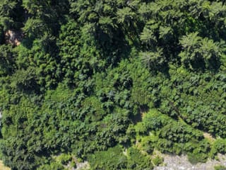 Lot for sale in Masset, Prince Rupert, 13717 Tow Hill Road, 263178084 | Realtylink.org