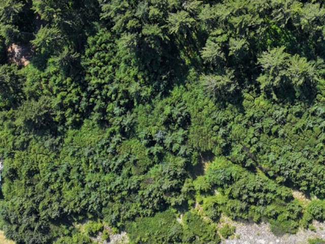 Lot for sale in Masset, Prince Rupert, 13717 Tow Hill Road, 263178084 | Realtylink.org