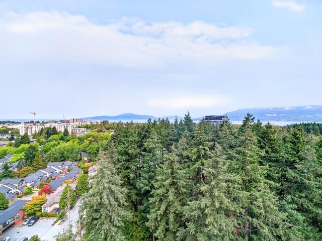 Apartment for sale in Vancouver, Vancouver West, 1805 5380 Crooked Branch Road, 263178622 | Realtylink.org