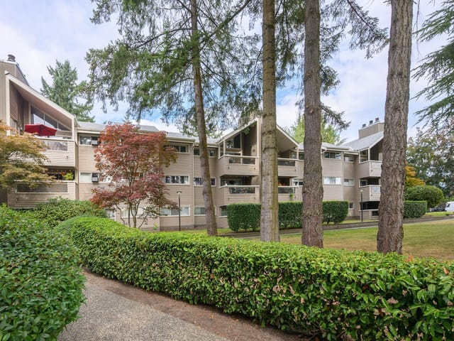 Apartment for sale in Coquitlam, Coquitlam, 309 932 Robinson Street, 263179425 | Realtylink.org