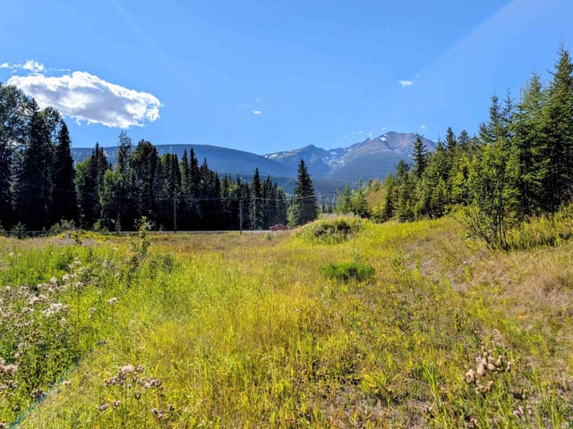 Lot for sale in Smithers, Smithers And Area, LOT A 16 Highway, 263179551 | Realtylink.org