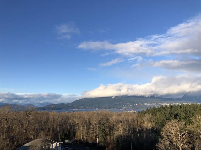 Apartment for sale in Vancouver, Vancouver West, 1303 5410 Shortcut Road, 263179588 | Realtylink.org