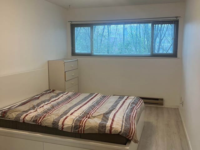 Apartment for rent in Richmond, Richmond, 8291 Park Road, 263180164 | Realtylink.org