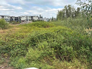 Lot for sale in Langley, Langley, 7235 204 Street, 263180723 | Realtylink.org