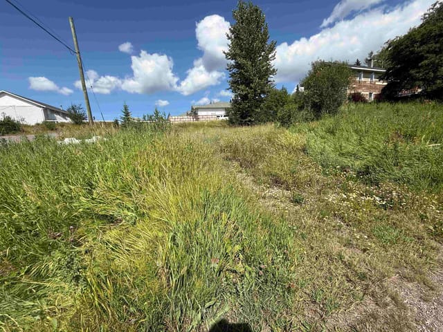 Lot for sale in Burns Lake, Burns Lake, 16 9th Avenue, 263180753 | Realtylink.org