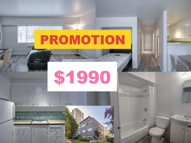 Apartment for rent in Vancouver, Vancouver West, 209 1540 Haro Street, 263180974 | Realtylink.org