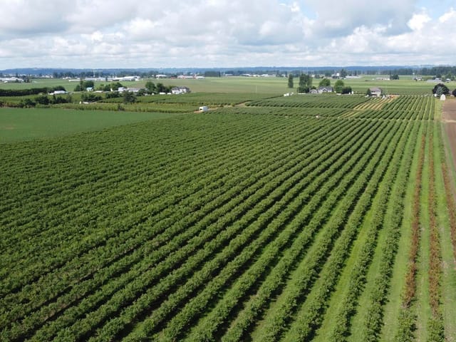 Lot for sale in Abbotsford, Abbotsford, 7121 Beharrell Road, 263181286 | Realtylink.org