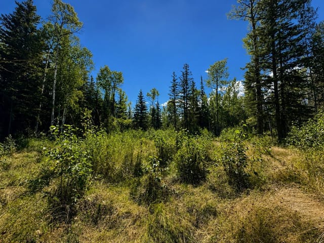 Lot for sale in McBride, Robson Valley, LOT 5 Airport Road, 263181816 | Realtylink.org