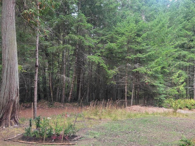 Lot for sale in Mayne Island, Islands-Van. & Gulf, 448 Fernhill Road, 263182765 | Realtylink.org