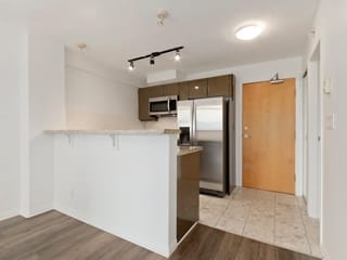 Apartment for rent in Vancouver, Vancouver West, 1703 1328 W Pender Street, 263183414 | Realtylink.org