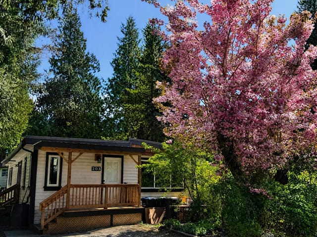 Manufactured Home for sale in Squamish, Squamish, 203 1830 Mamquam Road, 263183572 | Realtylink.org