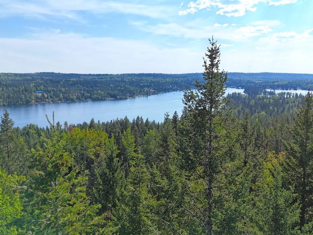 Lot for sale in Deka Lake / Sulphurous / Hathawa, 100 Mile House, LOT 103 Julsrud Road, 263183992 | Realtylink.org