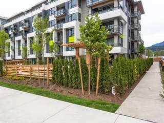 Apartment for rent in Port Moody, Port Moody, 107 3018 St George Street, 263184475 | Realtylink.org
