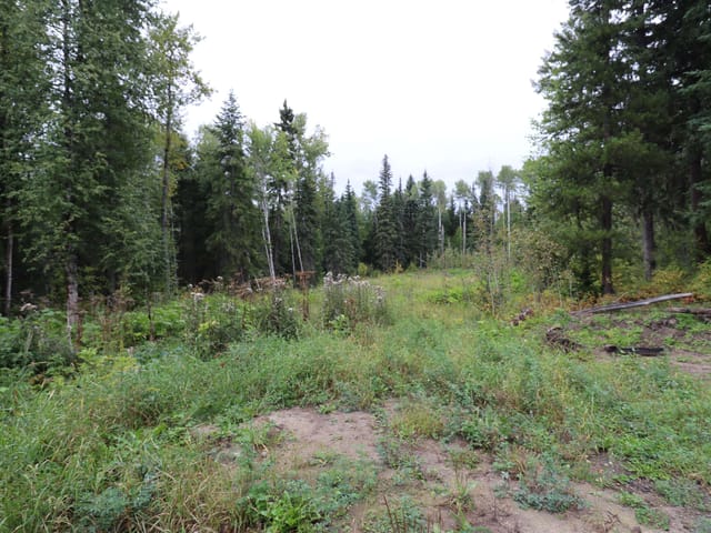 Lot for sale in Prince George, PG City West, 7774 Ridge Drive, 263185003 | Realtylink.org