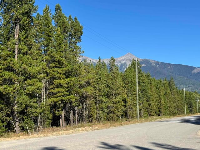 Lot for sale in Valemount, Robson Valley, 1250 17th Avenue, 263187310 | Realtylink.org