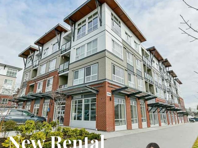 Apartment for rent in Surrey, Cloverdale, 215 19567 64 Avenue, 263188131 | Realtylink.org
