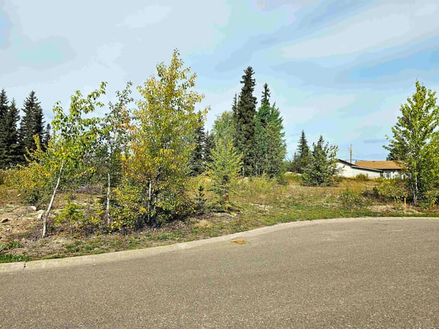 Lot for sale in Burns Lake, Burns Lake, 625 Casimir Avenue, 263188247 | Realtylink.org