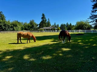 House for sale in Langley, Langley, 25177 64 Avenue, 263188487 | Realtylink.org