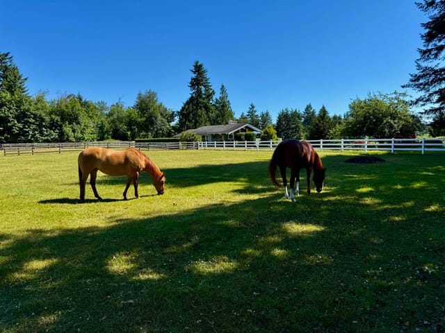 House for sale in Langley, Langley, 25177 64 Avenue, 263188487 | Realtylink.org