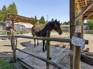 House for sale in North Vancouver, North Vancouver, 788 E 26th Street, 263188622 | Realtylink.org