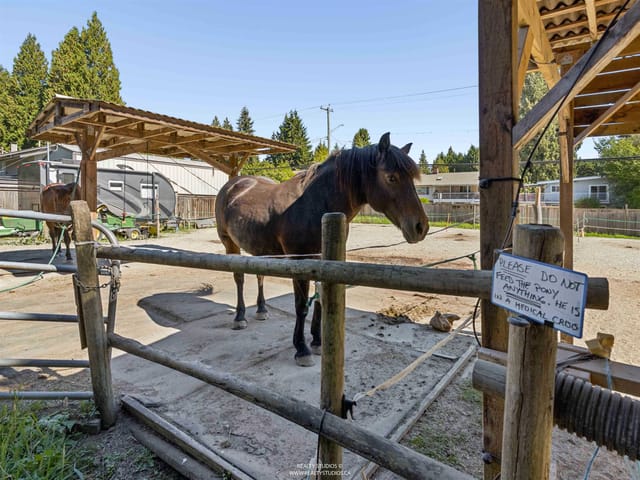 House for sale in North Vancouver, North Vancouver, 788 E 26th Street, 263188622 | Realtylink.org