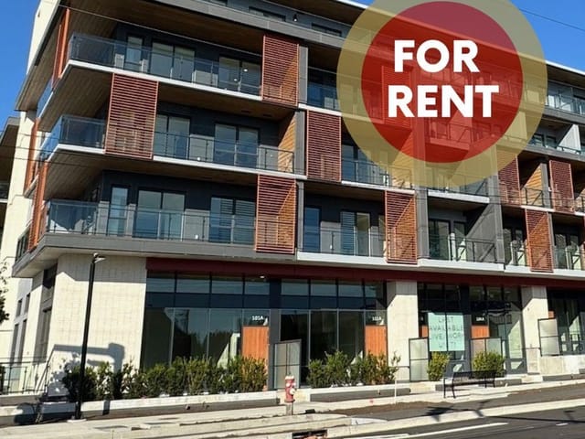 Apartment for rent in North Vancouver, North Vancouver, 667 422 E 3rd Street, 263189133 | Realtylink.org