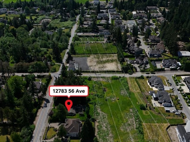 House for sale in Surrey, Surrey, 12783 56 Avenue, 263191513 | Realtylink.org