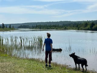 Lot for sale in Lac La Hache, 100 Mile House, 3364 Cariboo 97 Highway, 263191894 | Realtylink.org