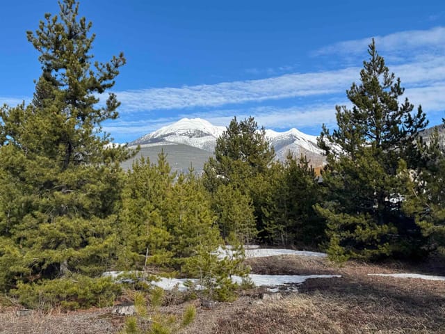 Lot for sale in Valemount, Robson Valley, 1330 9th Avenue, 263192347 | Realtylink.org