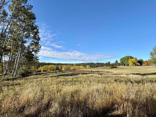 Lot for sale in 100 Mile House, 100 Mile House, Lot 2 Telqua Drive, 263192687 | Realtylink.org
