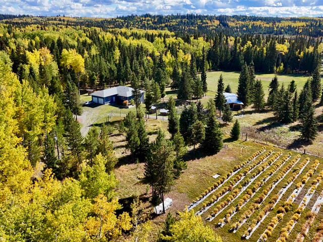 House for sale in Lone Butte, 100 Mile House, 6836 Fawn Creek Road, 263192690 | Realtylink.org