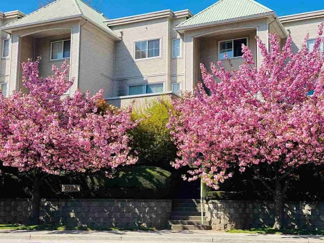 Townhouse for sale in Coquitlam, Coquitlam, 2 1383 Brunette Avenue, 263192825 | Realtylink.org