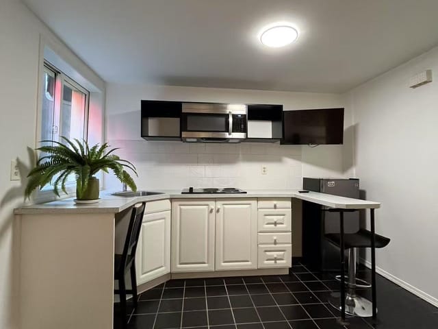 Apartment for rent in Vancouver, Vancouver West, 5 1517 Comox Street, 263193834 | Realtylink.org