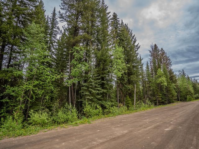 Lot for sale in Deka Lake / Sulphurous / Hathawa, 100 Mile House, LOT 88 Julsrud Road, 263193972 | Realtylink.org