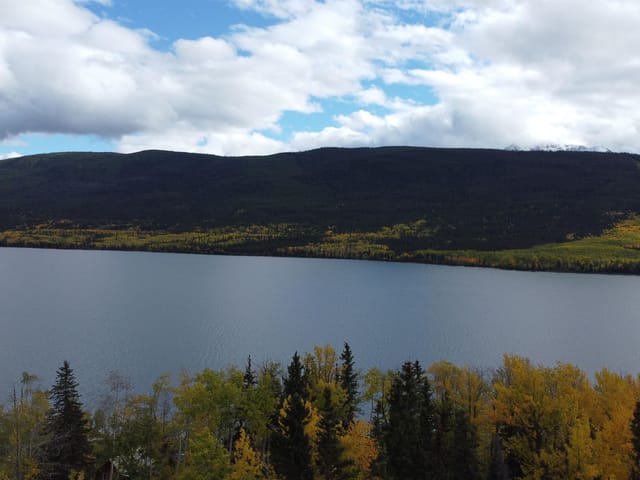 Lot for sale in Williams Lake, Williams Lake, DL 599 Nemaiah Valley Road, 263194975 | Realtylink.org
