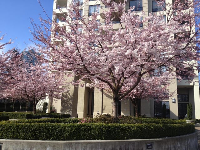 Apartment for sale in Burnaby, Burnaby South, 307 4333 Central Boulevard, 263195497 | Realtylink.org