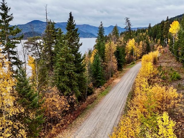 Lot for sale in Canim Lake, 100 Mile House, 3611 Canim Place, 263196821 | Realtylink.org