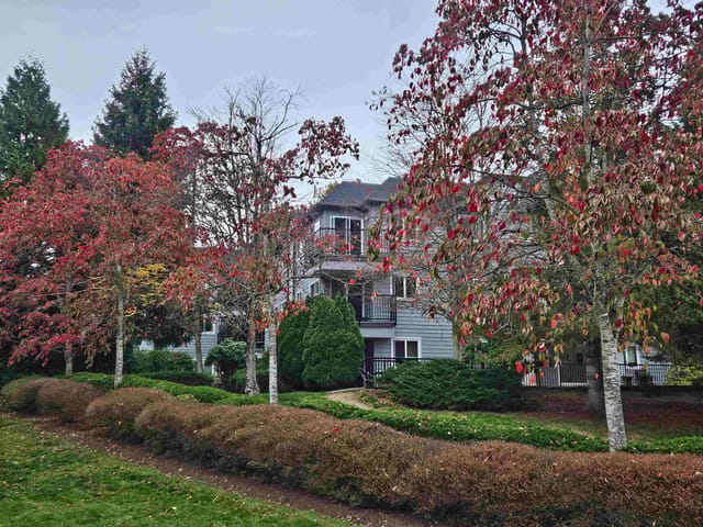 Apartment for sale in Squamish, Squamish, 311 40180 Willow Crescent, 263197085 | Realtylink.org