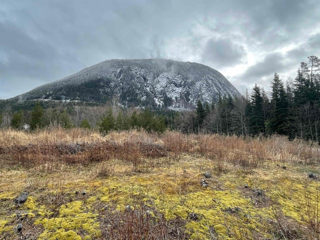 Lot for sale in Terrace, Terrace, 3716 Dobbie Street, 263197962 | Realtylink.org