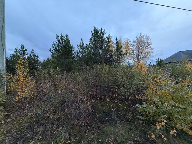 Lot for sale in Terrace, Terrace, 3567 Rose Avenue, 263197965 | Realtylink.org