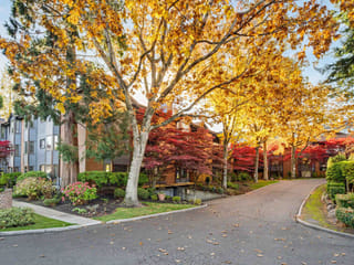 Apartment for sale in Surrey, South Surrey White Rock, 206 15300 17 Avenue, 263198023 | Realtylink.org
