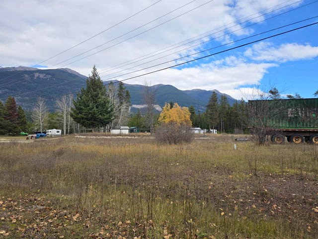 Lot for sale in Valemount, Robson Valley, 14040 Blackman Road, 263199095 | Realtylink.org
