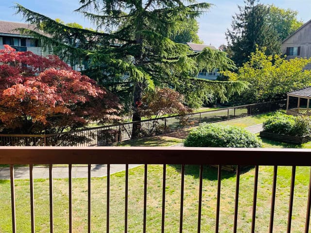 Apartment for rent in Richmond, Richmond, #223 8511 Westminster Highway, 263199317 | Realtylink.org