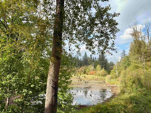 Apartment for sale in Port Coquitlam, Port Coquitlam, 217 2551 Parkview Lane, 263199403 | Realtylink.org