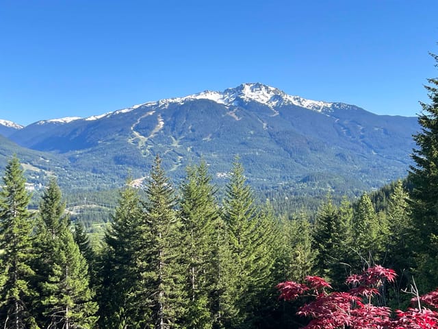 Lot for sale in Whistler, Whistler, 8384 Mountain View Drive, 263199715 | Realtylink.org