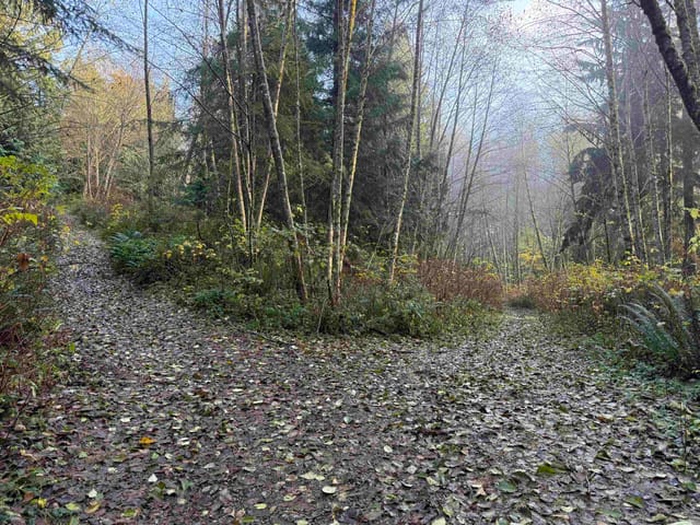 Lot for sale in Gibsons, Sunshine Coast, 1594 Cemetery Road, 263199881 | Realtylink.org